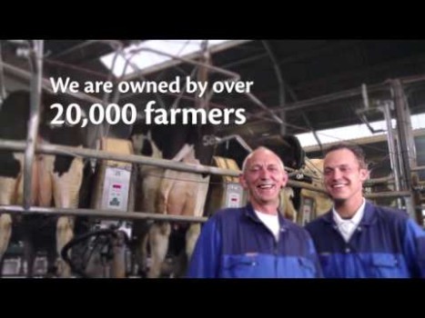 From Grass to Glass. Friso